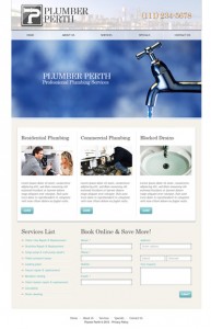 plumberperthwa.com