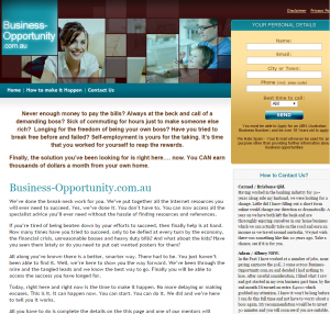 Business-Opportunity